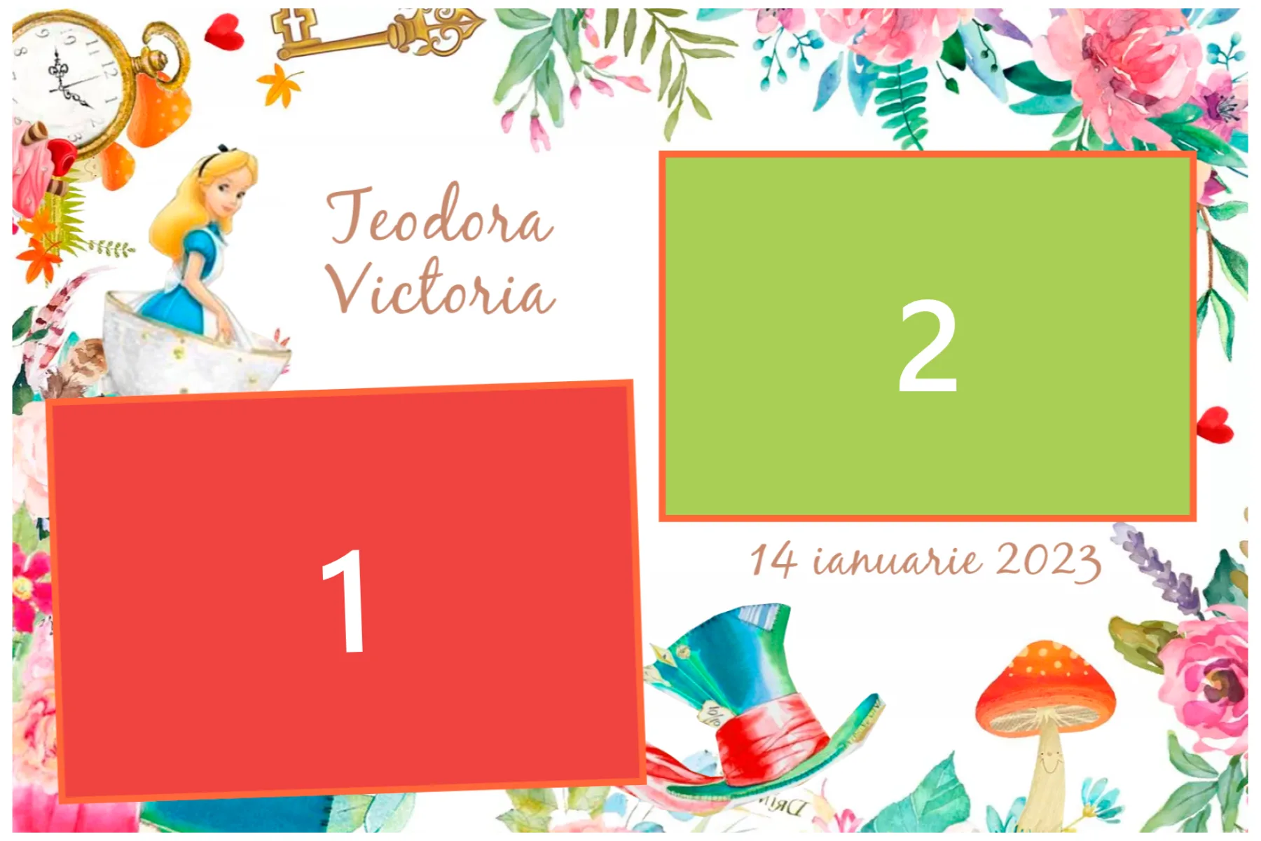 Template Botez, Varianta 3   teodora victoria, template cabina foto București