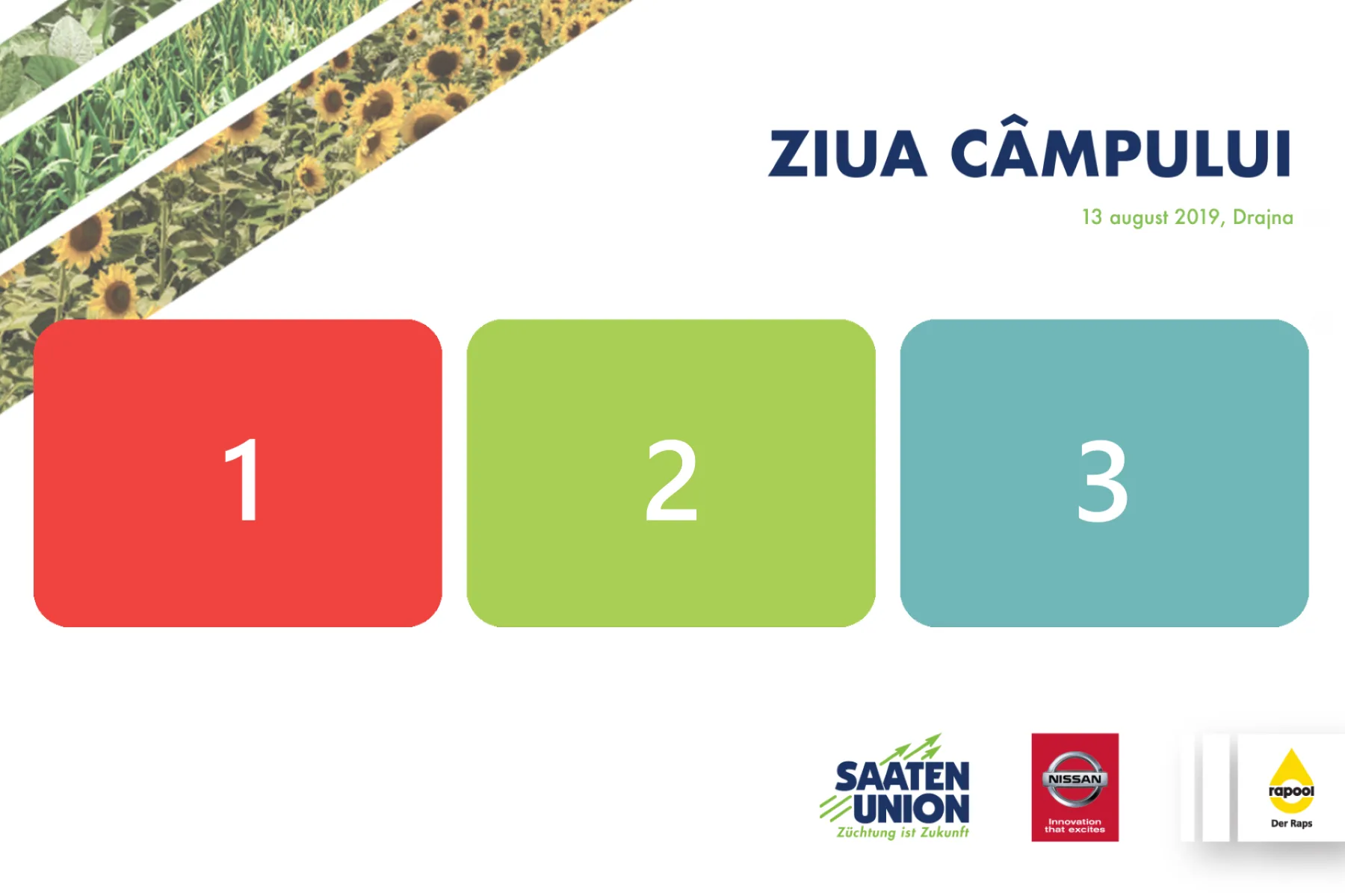 Template Diverse, Ziua Campului, template cabina foto București
