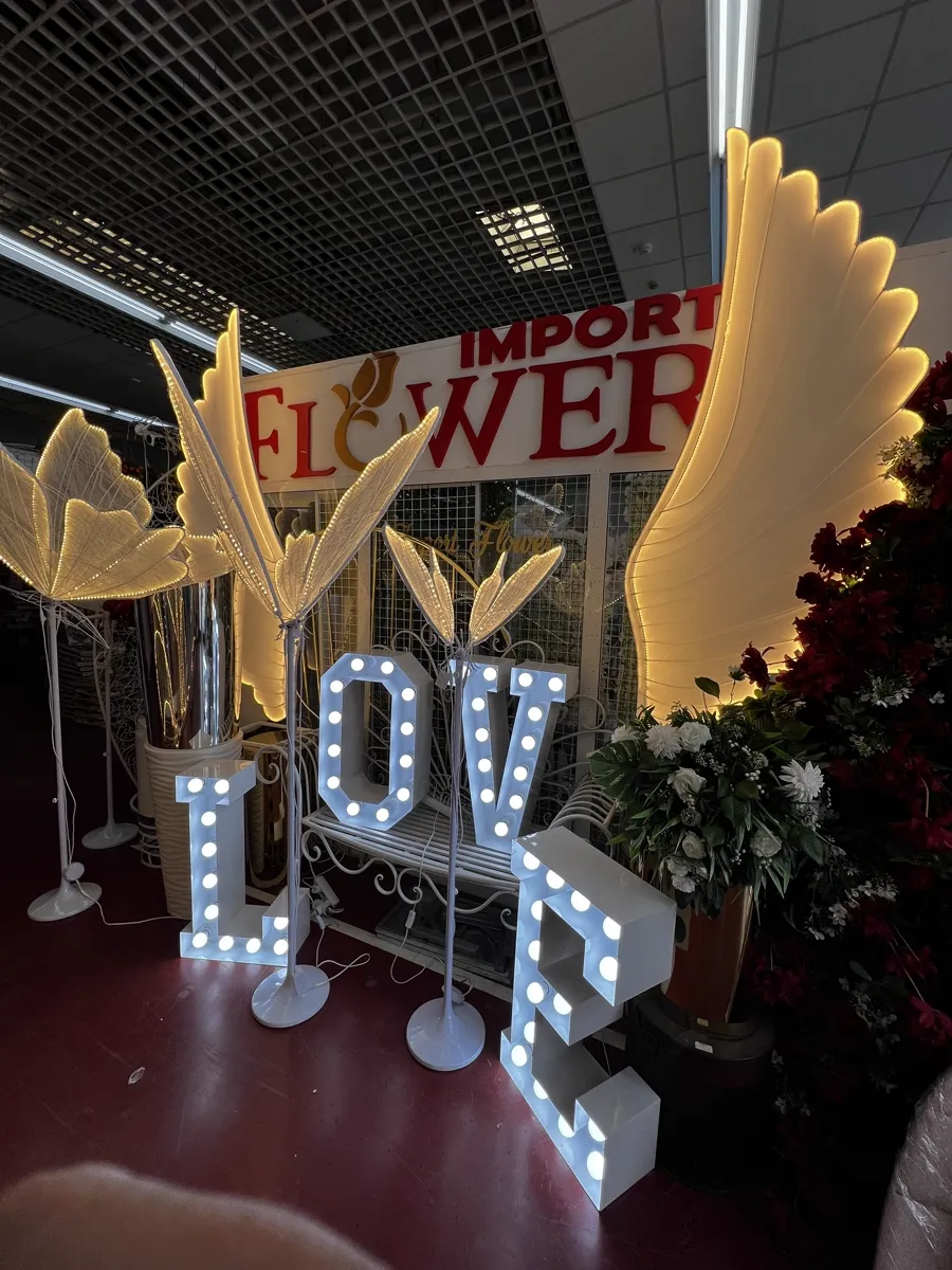 Litere volumetrice LOVE iluminate